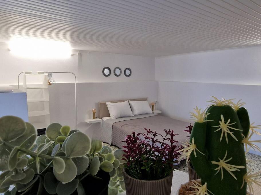 Elmy Houses V4 / Thalia Rafína Exteriör bild